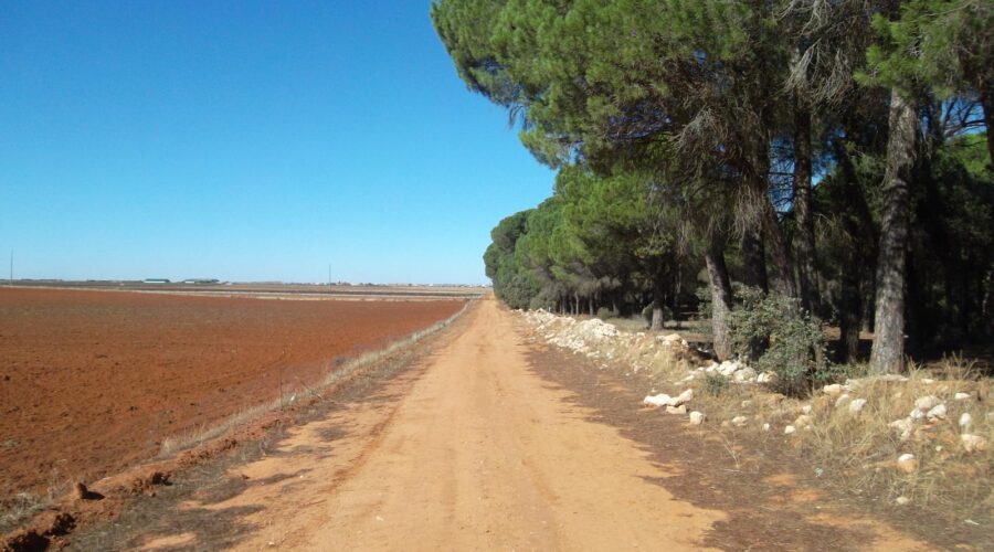 Camino de Santiago