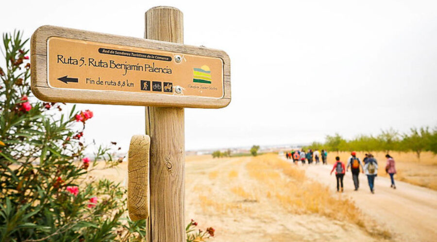 Ruta Benjamín Palencia
