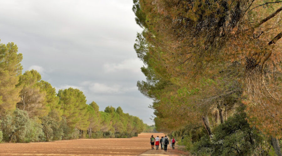 Ruta de la Cañada Real