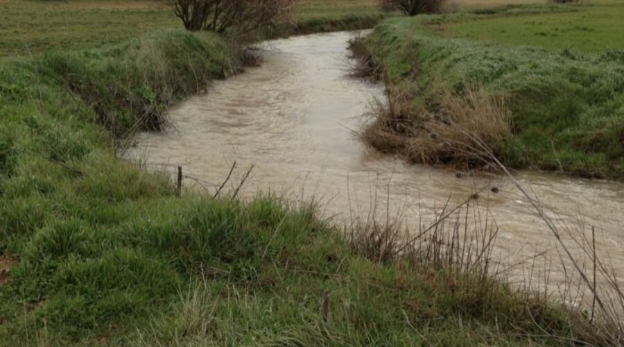 Ruta de las Avutardas