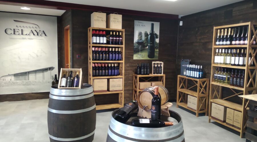 Experiencia en Bodegas Celaya: El arte de afinar vinos al gusto del mundo