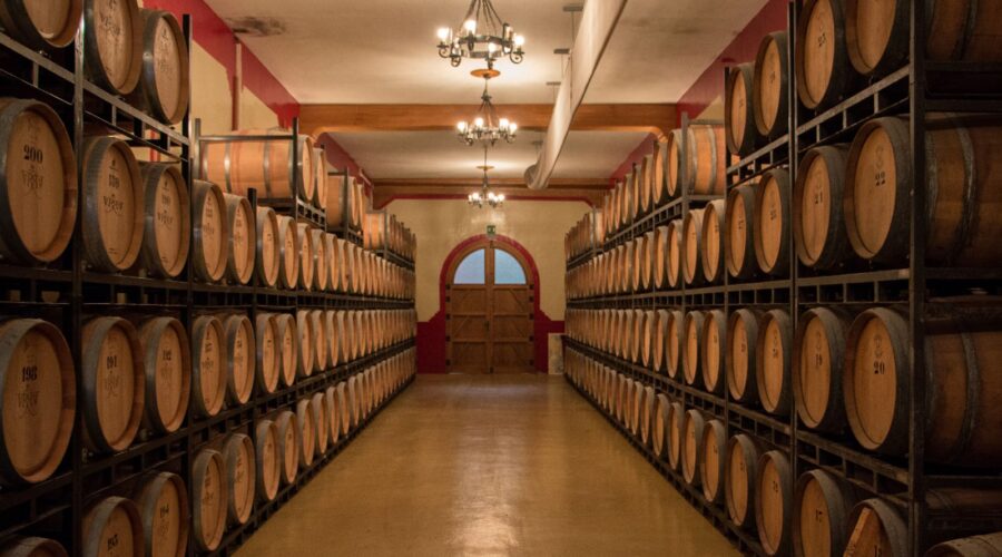 Experiencia en Bodega La Remediadora: un recorrido por la historia vinícola de La Roda
